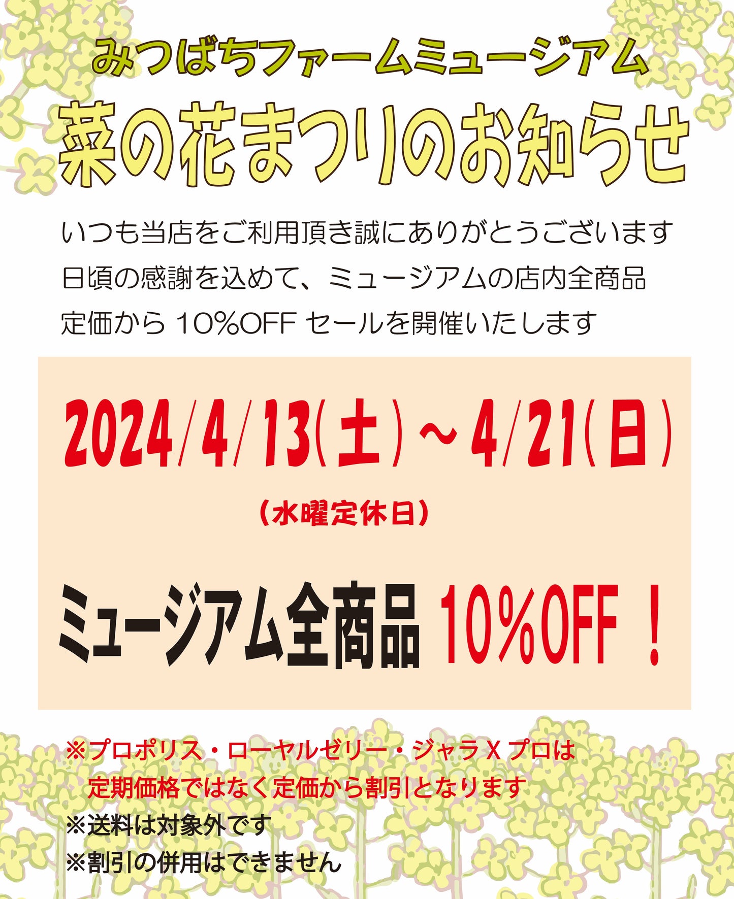 🌼…菜の花まつりのお知らせです…🌼