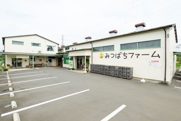 ５月３日㈬は営業いたします！
