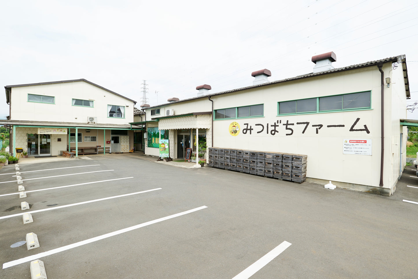 5月６日㈬は営業いたします