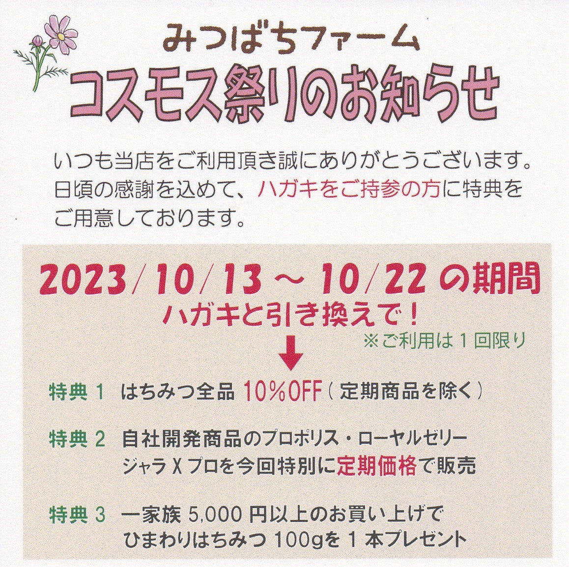 🌸コスモス祭りのお知らせ🌸