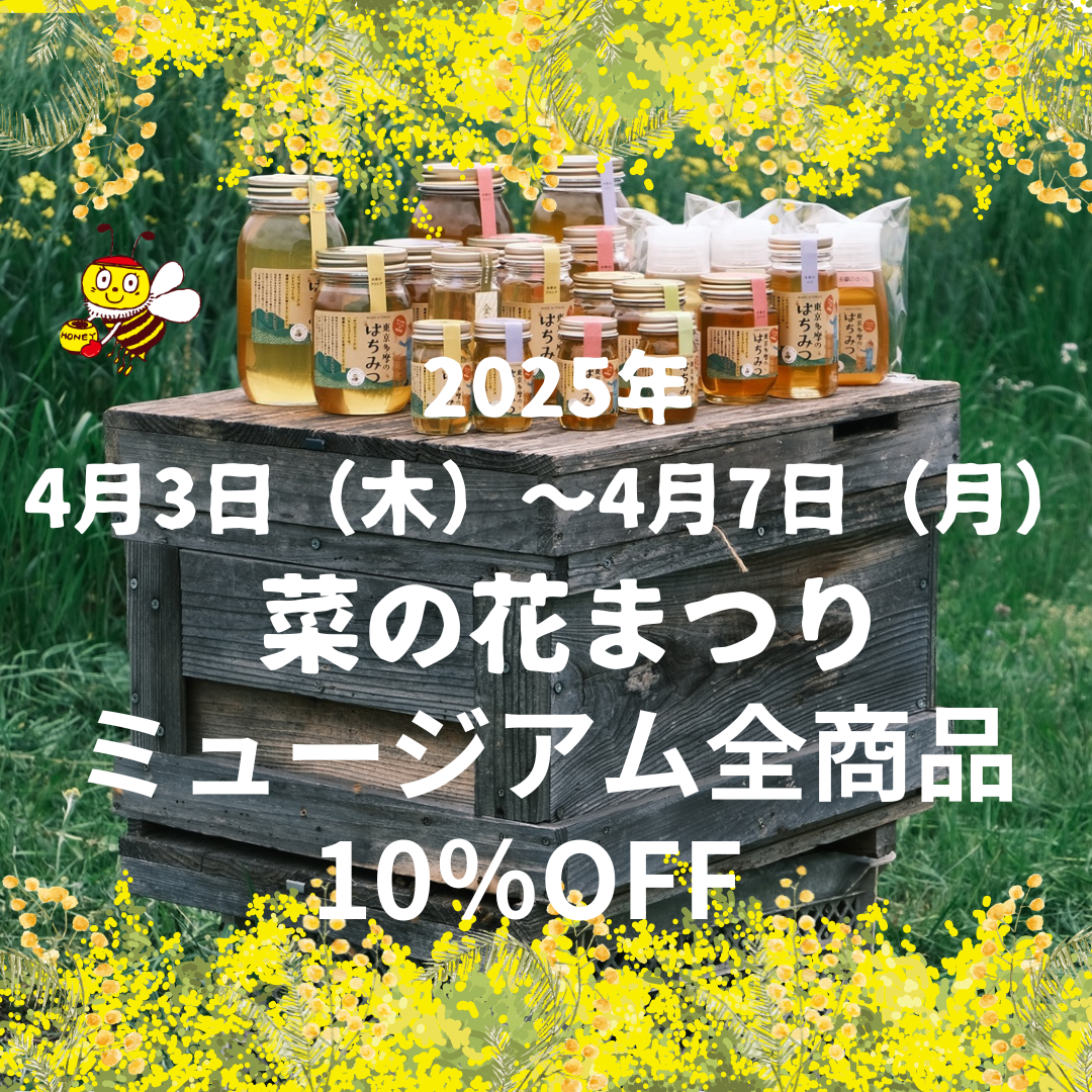＼ミュージアム全商品10％OFF・菜の花まつり開催／